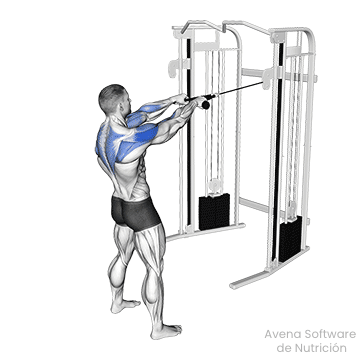 Cable face pull