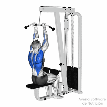 Lat pulldown